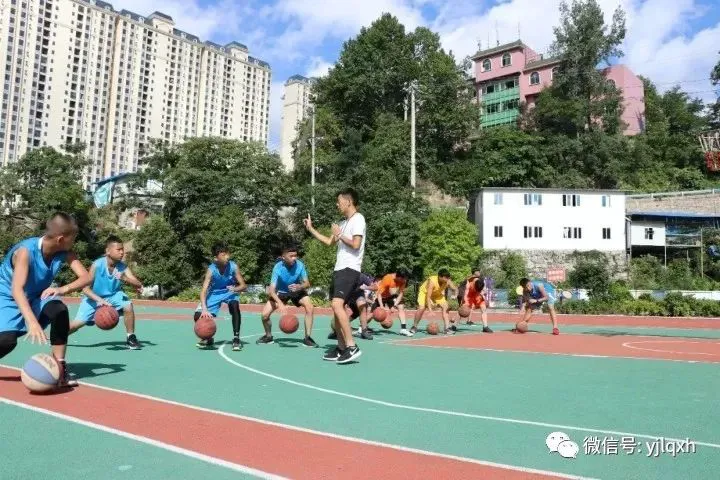 如何选择适合篮球康复训练的器材_1